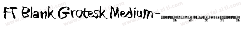 FT Blank Grotesk Medium字体转换